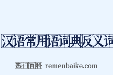 汉语常用语词典反义词是什么意思的图片